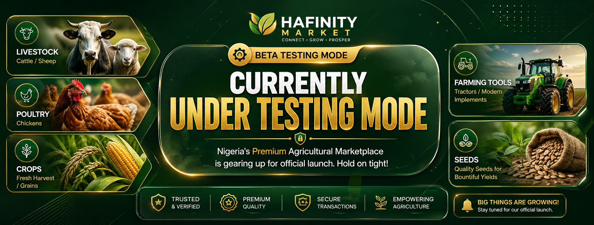 Hafinity Market Promotional Banner