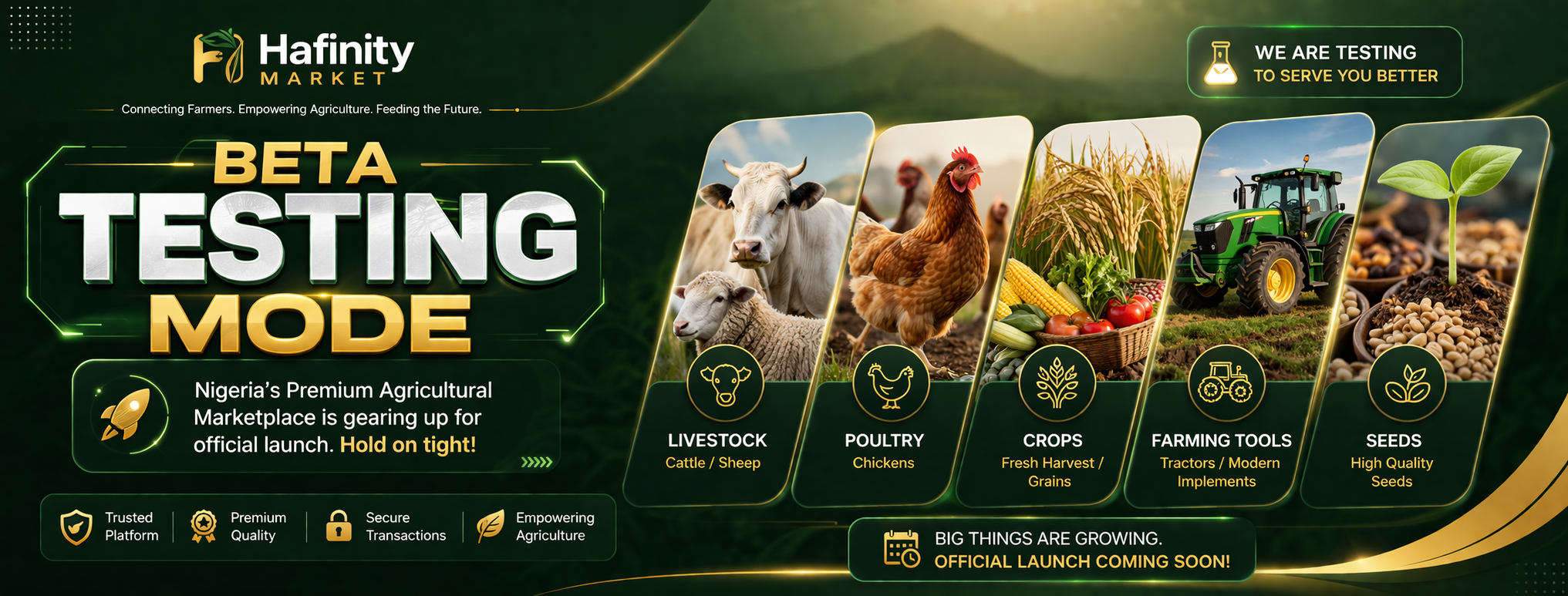 Hafinity Market Promotional Banner